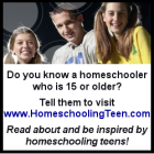 Homeschooling Teen